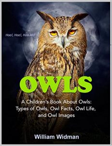 Download Owls For Kids: A Children’s Book About Owls, Owl Facts, Life, and Pictures pdf, epub, ebook