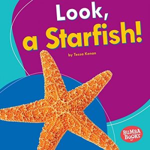 Download Look, a Starfish! (Bumba Books TM – I See Ocean Animals) pdf, epub, ebook