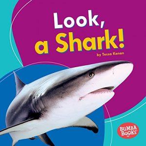 Download Look, a Shark! (Bumba Books TM – I See Ocean Animals) pdf, epub, ebook
