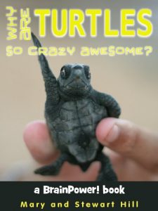 Download Why Are Turtles So Crazy Awesome? (BrainPower! Books) pdf, epub, ebook