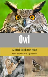 Download Owl: A Bird Book for Kids pdf, epub, ebook