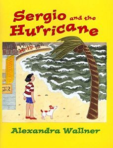 Download Sergio and the Hurricane pdf, epub, ebook