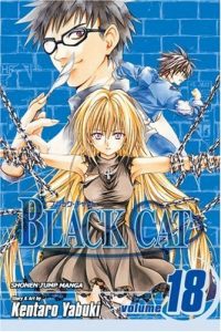 Download Black Cat, Vol. 18: Guiding Light pdf, epub, ebook