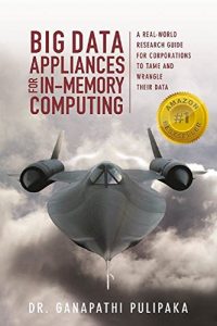 Download Big Data Appliances for In-Memory Computing: A Real-World Research Guide for Corporations to Tame and Wrangle Their Data pdf, epub, ebook