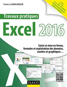 Download Travaux pratiques avec Excel 2016 : Saisie et mise en forme, formules et exploitation des données, courbes et graphiques… (French Edition) pdf, epub, ebook