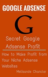 Download Secret Google Adsense Profit: How to Make Profit from Your Niche Adsense Websites pdf, epub, ebook