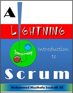 Download A Lightning Introduction to Scrum pdf, epub, ebook
