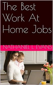 Download The Best Work At Home Jobs pdf, epub, ebook
