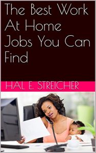 Download The Best Work At Home Jobs You Can Find pdf, epub, ebook