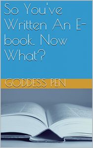 Download So You’ve Written An E-book. Now What? pdf, epub, ebook