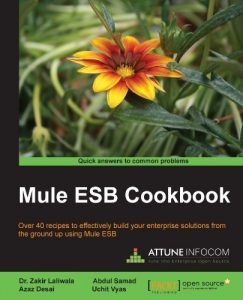 Download Mule ESB Cookbook pdf, epub, ebook