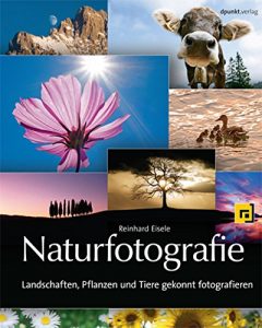 Download Naturfotografie: Landschaften, Pflanzen und Tiere gekonnt fotografieren (German Edition) pdf, epub, ebook