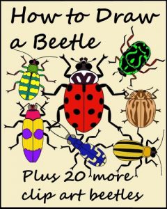 Download How to Draw a Beetle pdf, epub, ebook