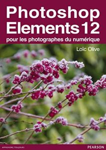 Download Photoshop Elements 12: pour les photographes du numérique (French Edition) pdf, epub, ebook