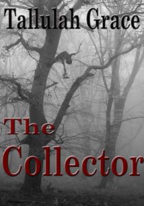 Download The Collector (SSCD Crime Thriller Book 5) pdf, epub, ebook