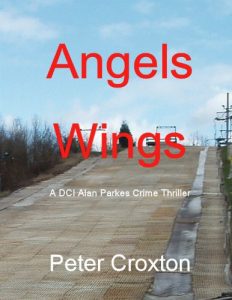 Download Angels Wings (A DCI Alan Parkes Crime Thriller Book 2) pdf, epub, ebook