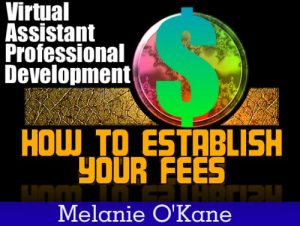 Download Virtual Assistant Professional Development Series: How to Establish Your Fees pdf, epub, ebook