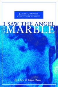 Download I Saw the Angel in the Marble (Unconventional Homeschooling Guides Book 2) pdf, epub, ebook