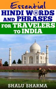 Download Essential Hindi Words And Phrases For Travelers To India pdf, epub, ebook