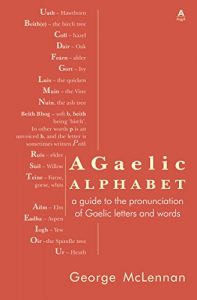 Download A Gaelic Alphabet: a guide to the pronunciation of Gaelic letters and words pdf, epub, ebook