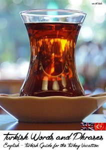 Download Turkish Words and Phrases: English – Turkish Guide for the Turkey Vacation pdf, epub, ebook