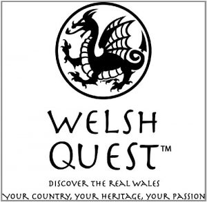 Download Welsh Quest Quiz Volume 4 pdf, epub, ebook