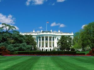 Download Do You Want to Know about Our First Ladies of the U.S. pdf, epub, ebook