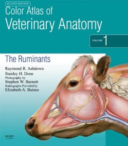 Download Color Atlas of Veterinary Anatomy, Volume 1, The Ruminants pdf, epub, ebook