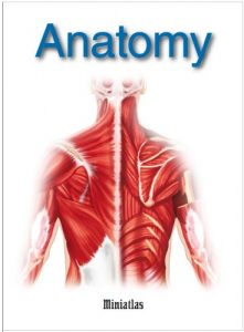Download Anatomy Miniatlas pdf, epub, ebook