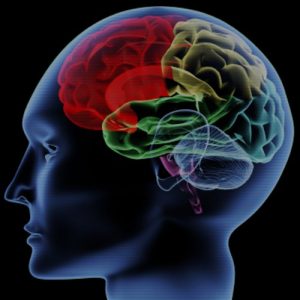 Download A Dictionary of Psychological Medicine, Giving the Definition, Etymology and Synonyms of the Terms Used in Medical Psychology, With the Symptoms, Treatment, and Pathology of Insanity…. pdf, epub, ebook