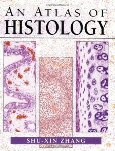 Download An Atlas of Histology pdf, epub, ebook
