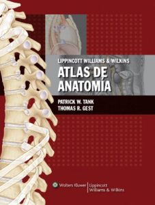 Download LWW Atlas de Anatomia (Spanish Edition) pdf, epub, ebook