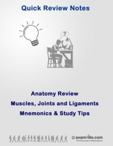 Download Muscles, Joints and Ligaments: Mnemonics and Study Tips pdf, epub, ebook