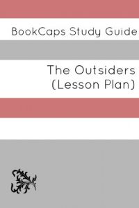 Download Lesson Plans: The Outsiders pdf, epub, ebook