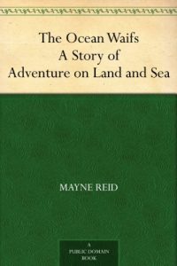 Download The Ocean Waifs A Story of Adventure on Land and Sea pdf, epub, ebook
