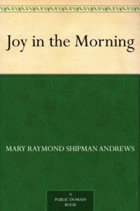 Download Joy in the Morning pdf, epub, ebook