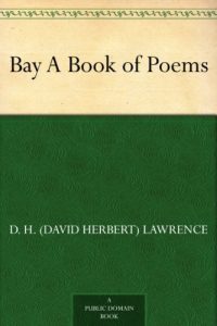 Download Bay A Book of Poems pdf, epub, ebook