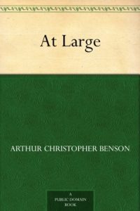 Download At Large pdf, epub, ebook