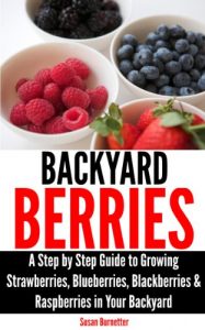 Download Backyard Berries – A Step by Step Guide to Growing Strawberries, Blueberries, Blackberries & Raspberries in Your Backyard pdf, epub, ebook