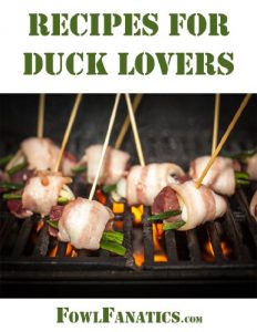 Download Recipes For Duck Lovers pdf, epub, ebook