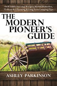 Download The Modern Pioneer’s Guide pdf, epub, ebook