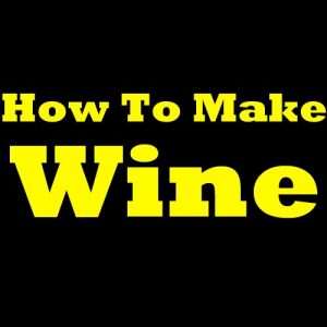 Download How To Make Wine: Easy And Simple Wine Making Guide! Learn The Wine Making Process, How To Make Homemade Wine And Which Wine Making Supplies And Wine Accessories To Use For Making Wine At Home! pdf, epub, ebook