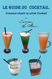 Download Le Guide du Cocktail: Comment réussir sa soirée Cocktail (French Edition) pdf, epub, ebook