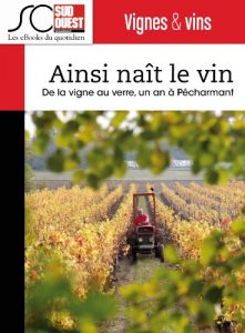 Download Ainsi naît le vin: De la vigne au verre, un an à Pécharmant (French Edition) pdf, epub, ebook