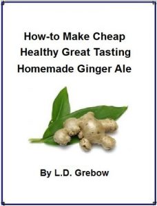 Download How-to Make Cheap Healthy Homemade Ginger Ale pdf, epub, ebook