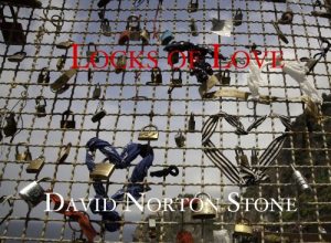 Download Locks of Love and The Secret Bakery of Florence pdf, epub, ebook