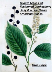 Download How to Make Old Fashioned Chokecherry Jelly & a Few Native American Dishes pdf, epub, ebook