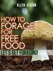 Download How To Forage For Free Food – Let’s Get Foraging (Foraging Free Food Series Book 1) pdf, epub, ebook