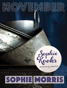 Download Sophie Kooks Month by Month: November pdf, epub, ebook