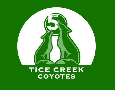 Tc logo whitecircle5year 2 1